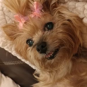 Meet your Posher, Felisa